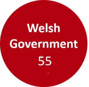 Welsh Government and number of public bodies